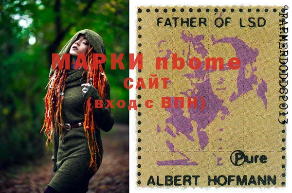 индика Богородск