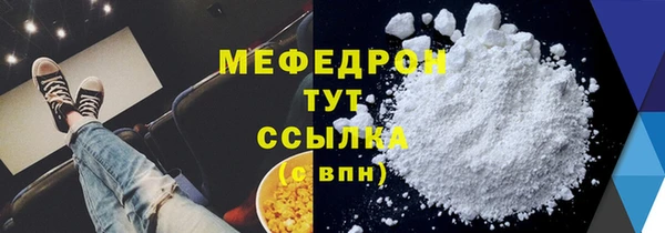 индика Богородск