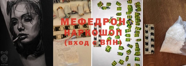 индика Богородск
