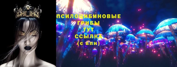 меф Богородицк