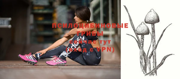 меф Богородицк