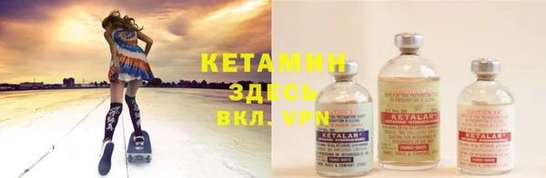 индика Богородск