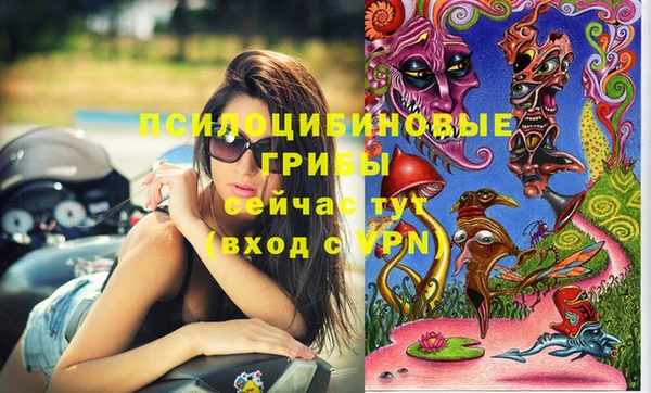 индика Богородск