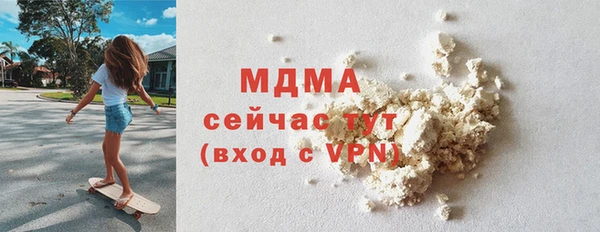 индика Богородск
