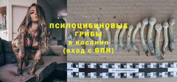 бошки Богданович
