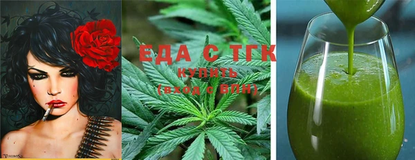 индика Богородск