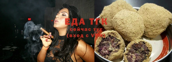индика Богородск