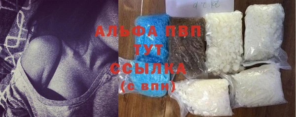 бошки Богданович