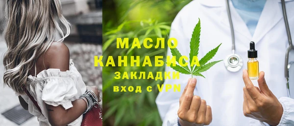 индика Богородск
