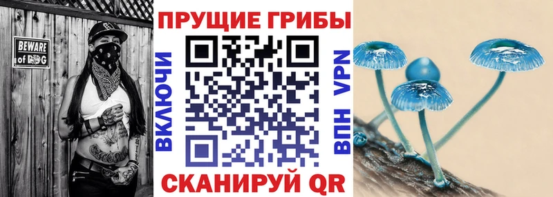 Купить закладки  Железногорск  Псилоцибиновые грибы Psilocybine cubensis 